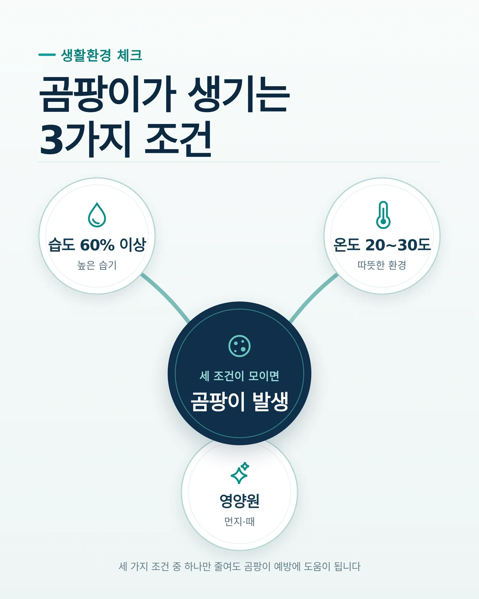 계절별 관리 전략 관리 예시
