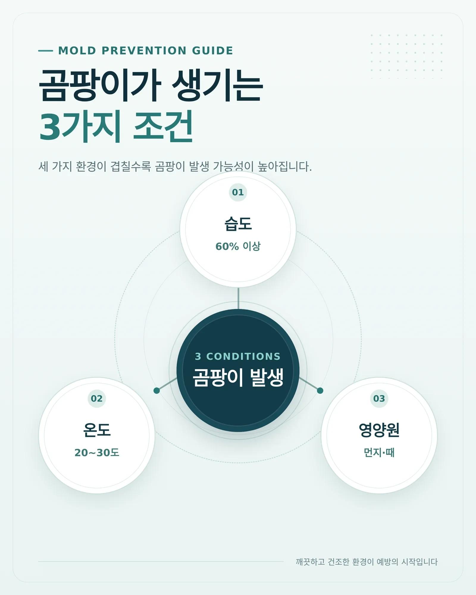 약제 선택과 혼합 금지 관리 예시